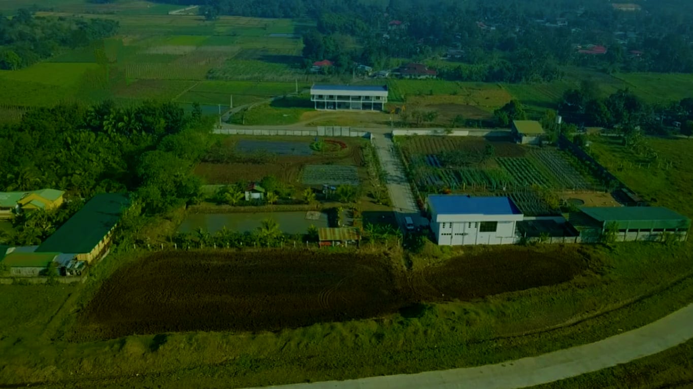 Farm landscape